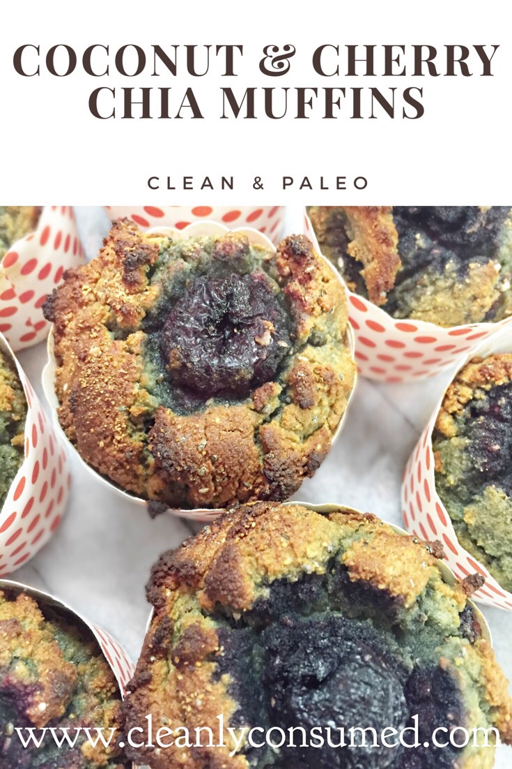 These may be Clean and Paleo but they are also high in Protein & Fiber! Great grab and go option!