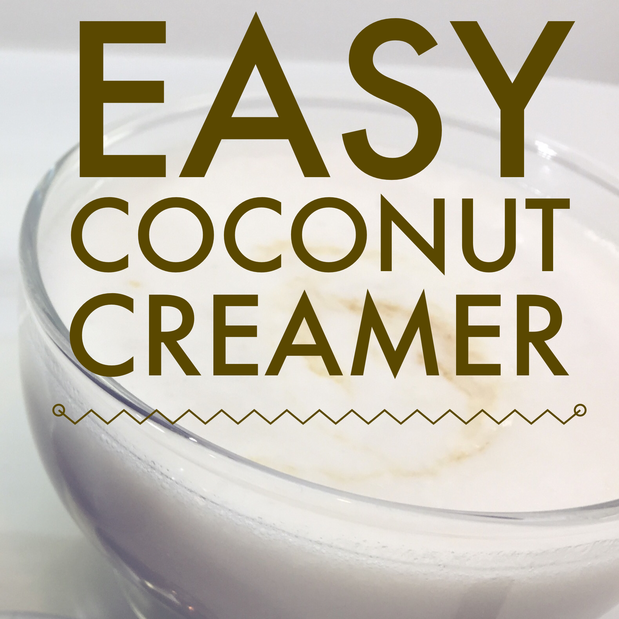 Easy Paleo Coconut Creamer
