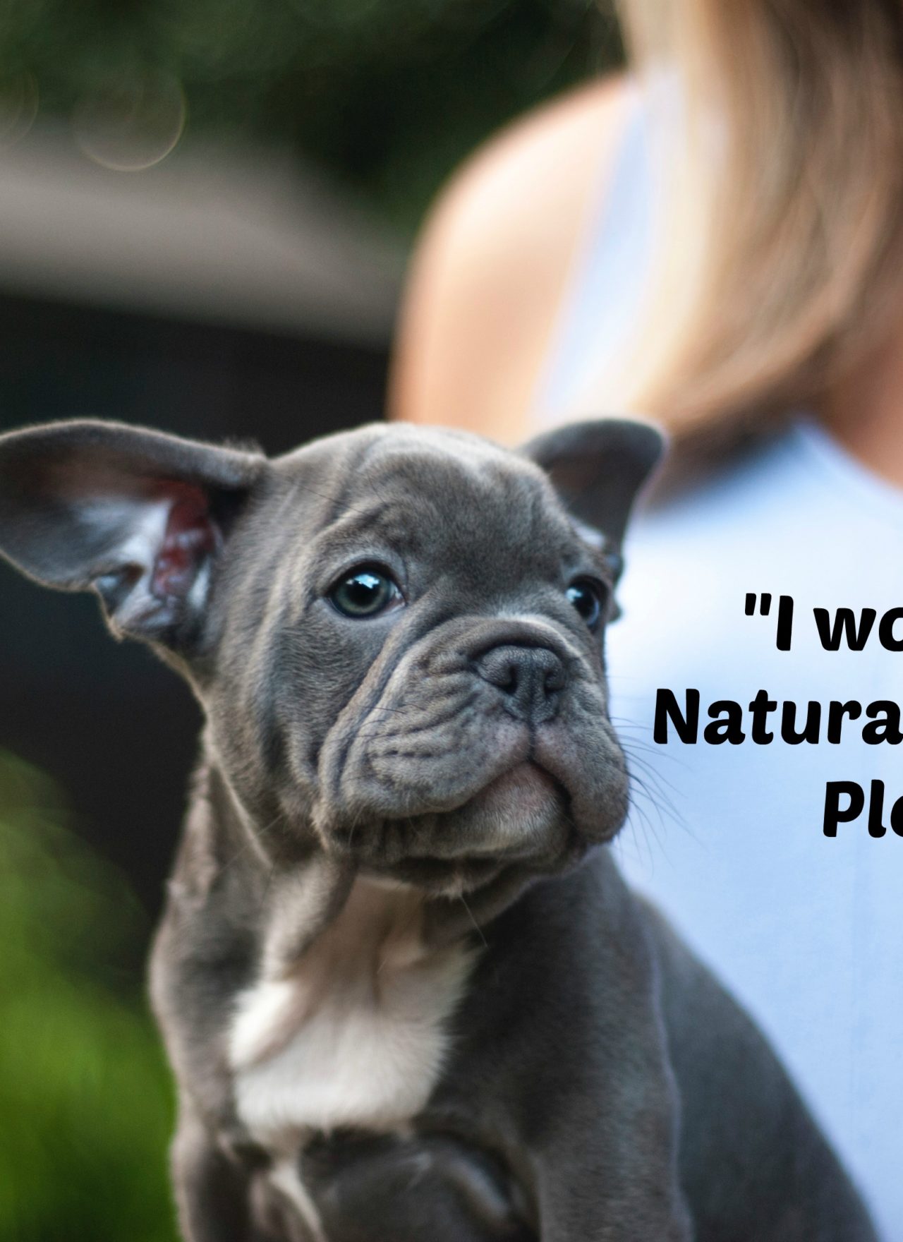 Natural Alternatives in Pet Care- First Line of Defense