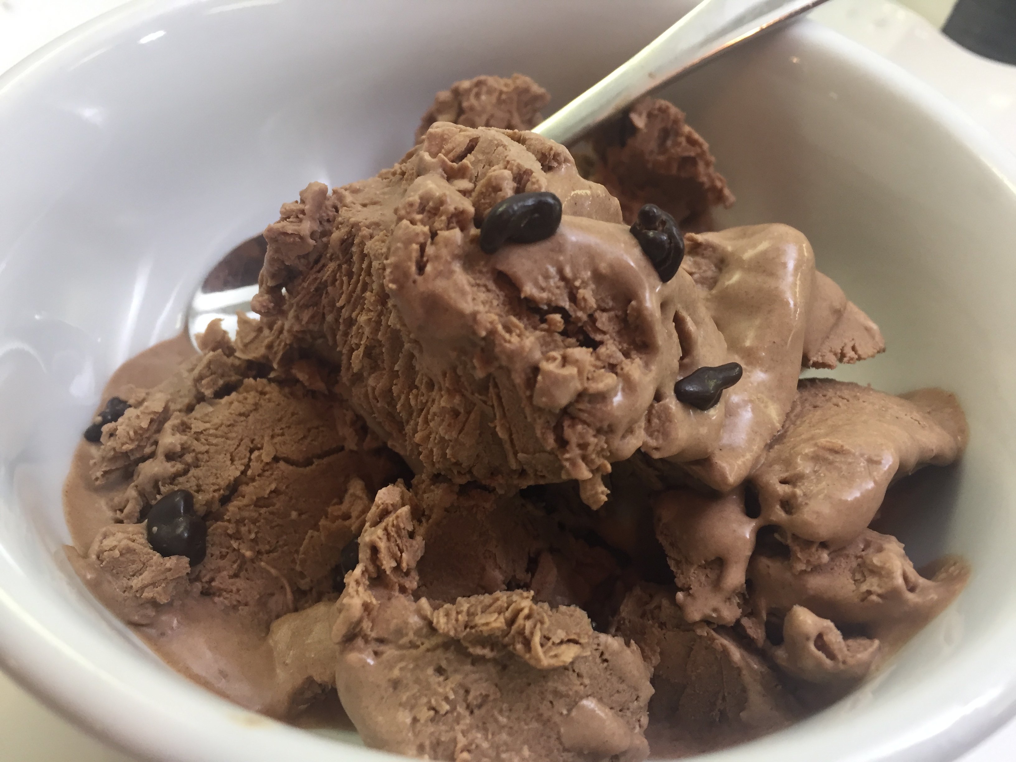 Non-Dairy Chocolate Ice Cream